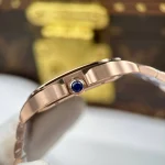 Cartier Santos Large Skeleton WHSA0016 – VIP Version - Image 8