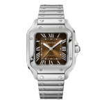 Cartier Santos De Cartier Chocolate Dial WSSA0065 35.5mm – VIP Version