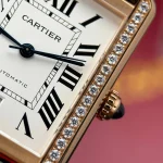 Cartier Tank Solo Extra-Large Model 31mm x 41mm – VIP Version - Image 9