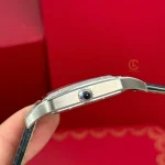 Cartier Santos-Dumont 43.5mm WSSA0022 43.5mm x 31.4mm Steel – VIP Version - Image 7