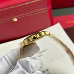 Cartier Santos de Cartier WGSA0030 35.1mm – VIP Version - Image 7
