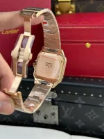 Cartier Santos de Cartier WGSA0018 39.8mm – VIP Version - Image 7